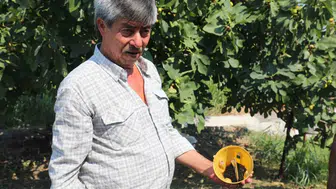 Muğla’da bahçeler kimyasallara veda ediyor: Doğal yöntemle rekolte artışı