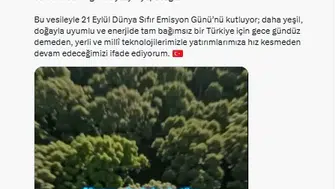 Türkiye'nin yeşil enerji devrimi: Milyarlarca dolar kasada kaldı, doğa nefes aldı