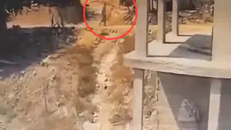 Sarıçam'da vicdansızlık kamerada: İnşaattaki köpeğe sopalı saldırı