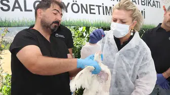 Elazığ'da olası bir salgına karşı kritik prova: Ekipler sahaya indi