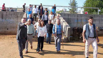 Diyarbakır'da hayvancılık sektörü için kritik karar: Borsa'da yeni dönem başlıyor