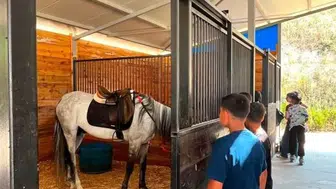 Bilecik'te minik yürekler için unutulmaz gün: Atlarla ilk tanışma heyecanı