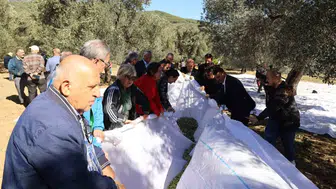 Edremit'ten Dünya Rekoruna Zeytinli Davet: 13 Bin Kişi Aynı Anda Tadım Yapacak