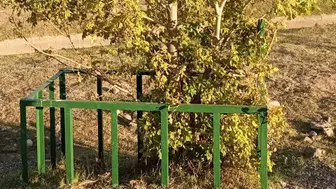 Erzurum'un ıssız yolunda asırlık bir sessizlik: Tokatlı Mehmetçik'in unutulan destanı