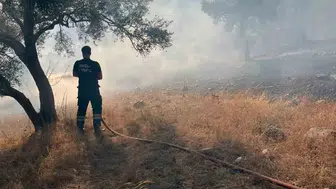 Zeytinlikleri tehdit eden alevlere havadan ve karadan kuşatma
