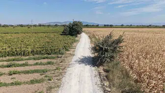 Manisa'nın kırsalında yüzler gülüyor: Üzüm sezonu öncesi gelen dev hizmet