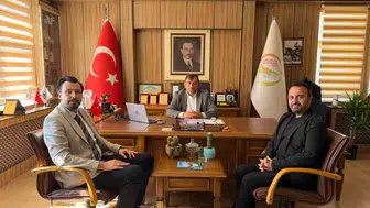 İstanbul'un gürültüsünden Gökçeada'nın huzuruna: Bir kaçışın beyazperde yolculuğu