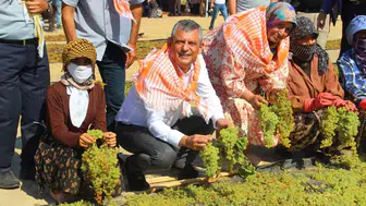 Özgür Özel'in çocukluk anılarının izinde Manisa çıkarması: Bağlar sökülürse bir daha üzüm bulamayız