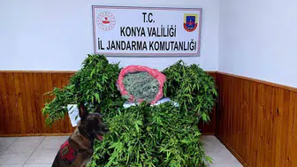 Depo maskeli uyuşturucu serası jandarma baskınıyla deşifre oldu