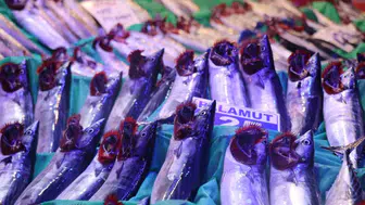 Sakarya'da balıkçı tezgahlarında palamut bereketi: Fiyatlar düştü, yüzler güldü