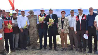 Tuşba'da Hasat Heyecanı: Mısır Tarlalarında Verim Rekoru Sevinci