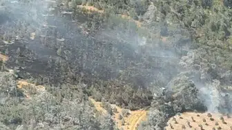 Soma'da ormanlık alanda korku dolu anlar: Alevler 150 dakikada durduruldu