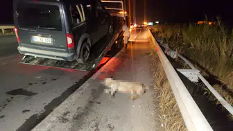 Antalya'da gece yarısı zincirleme kaza: Köpeğe çarpan araç devrilince ortalık karıştı