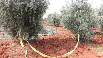 Kilis'te tarla mesaisi acı bitti: Traktörden düşen çiftçi hayatını kaybetti