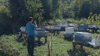 Düzce'nin bal üretim merkezinde kritik mesai: Kovanlar tek tek kayıt altına alınıyor