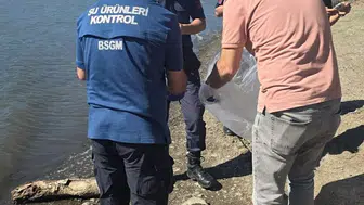 Çanakkale'nin can damarında alarm: Barajdaki toplu ölümler endişe yarattı