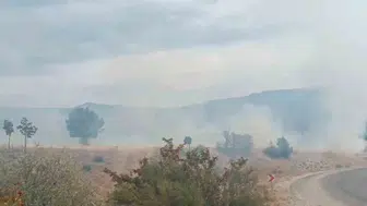 Bolu'da korkutan yangın: Alevler santralin kapısına dayandı