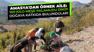 Amasya'dan Örnek Aile: 100 Kilo Meşe Palamudu Dikip Doğaya Katkıda Bulundular!