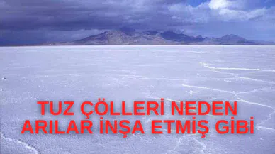 Tuz Çöllerinin Hepsi Neden Arılar Yapmış Gibi Petek Şeklinde?