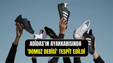 Adidas’ın ayakkabısında domuz derisi skandalı: Reklam Kurulu ceza kesti