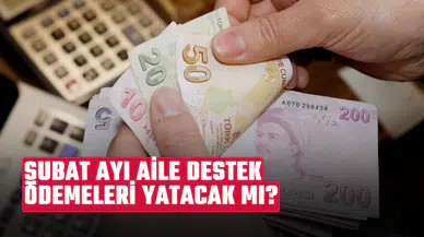 Şubat ayı aile destek ödemeleri: Aile destek ödemeleri 2025'te devam edecek mi, ne kadar?