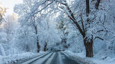 Yarın okullar tatil mi? 25 Şubat okulların tatil olduğu şehirler