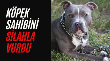 ABD’de tuhaf kaza: Köpek sahibini silahla vurdu