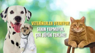 Evcil Hayvan Sahipleri Dikkat! Veterinerler Uyarıyor, Bunu Sakın Yapmayın!