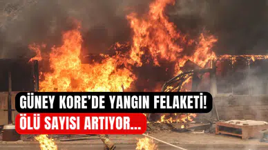 Güney Kore’de orman yangını faciası: Ölü sayısı artıyor
