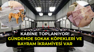 Kabine toplantısında yoğun gündem: Sokak köpekleri ve emekli ikramiyesi görüşülecek