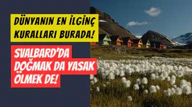 Svalbard Adası’nda ilginç kurallar: Ölmek ve doğmak neden yasak?