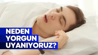 Sabahları neden yorgun uyanıyoruz? Uyku apnesi nedir?