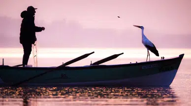 Yaren leylek hikayesi: Bir göçmen kuşun hikâyesi