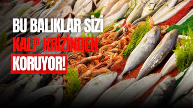 Nisan-Mayıs ayında hangi balıklar yenir, tüketilir? Bu balıklar kalp krizi riskini önlüyor