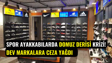 Domuz derisi kullanıldığı gizlendi: New Balance, Vans ve Camper’a ağır para cezaları