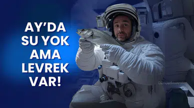 Dünya yetmedi: Levrekler Ay ve Mars’a gidiyor