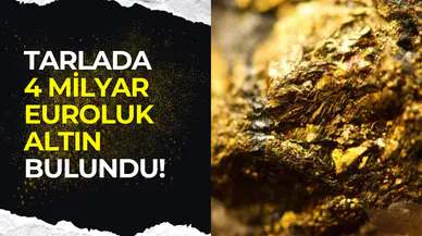 Fransa’da çiftçiye büyük sürpriz: Tarlasında 4 milyar euroluk altın bulundu