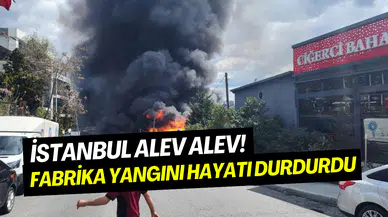 İstanbul İkitelli’de fabrika yangını: Kimya deposu kül oldu