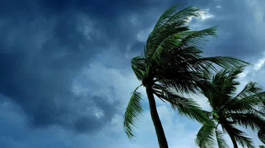 Meteoroloji'den 6 ile sarı kodlu uyarı: Kuvvetli yağış ve fırtına bekleniyor