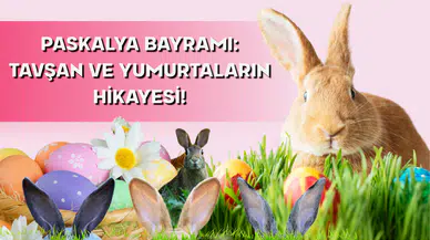 Paskalya'nın Sırrı: Tavşanlar Neden Yumurta Getirir?