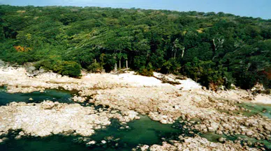 Gidilmesi yasak Sentinel Adası'na giden ABD'li YouTuber tutuklandı