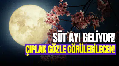 Süt dolunayı nedir, ne zaman? 12 Mayıs’ta geliyor!