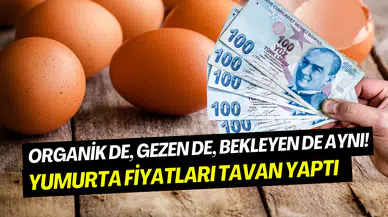 Yumurtaya 9 ayda zam yağmuru: Tanesi 10 TL oldu