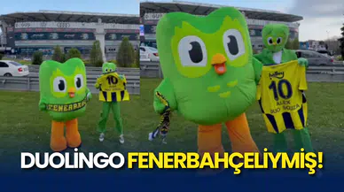 Duolingo Fenerbahçeliymiş!