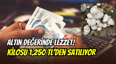 Erzincan’da altın değerinde lezzet: Kilosu 1.250 TL’den satılıyor
