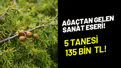 Günlük 5 tane üretip 135 bin TL kazanıyor: Osmaniye’nin coğrafi işareti andız tespihi