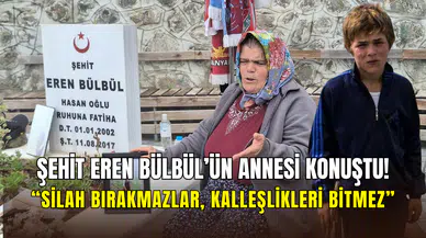 Şehit Eren Bülbül’ün annesi Ayşe Bülbül: ‘’Silah bırakıyorlarsa annelere evlatlarını versinler’’