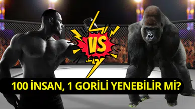 Sosyal medyada tartışılan absürt soru: 100 adam bir gorili yenebilir mi?