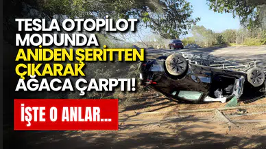 Tesla Otopilot Modunda Aniden Şeritten Çıkarak Ağaca Çarptı! İşte o anlar...