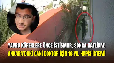 Ankara’da doktorun sistematik katliamı: 8 yavru köpeğe yönelik iğrenç eylemlerde bulunmuş!